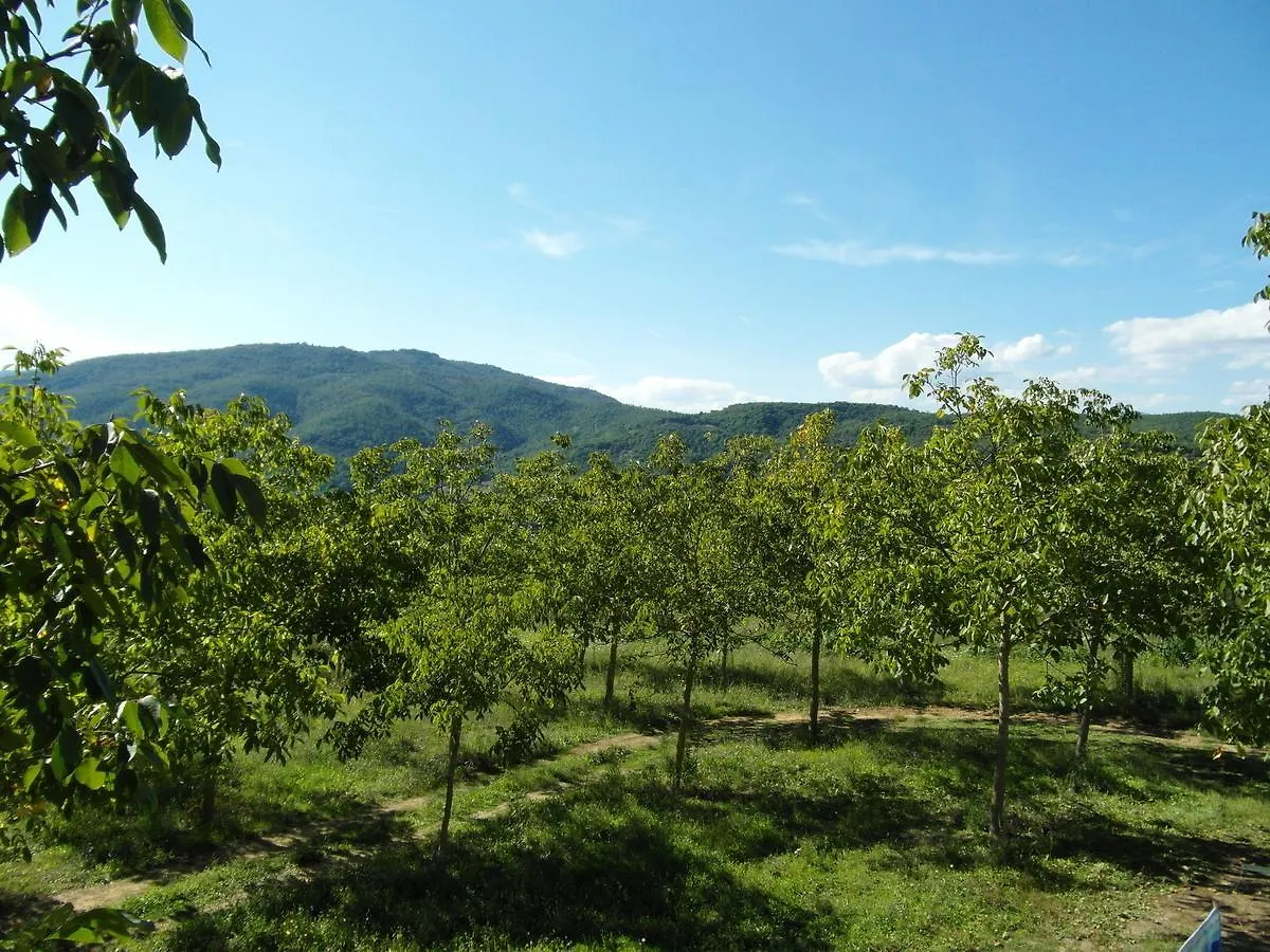 Belvilla By Oyo Il Camino Monterchi Holiday home